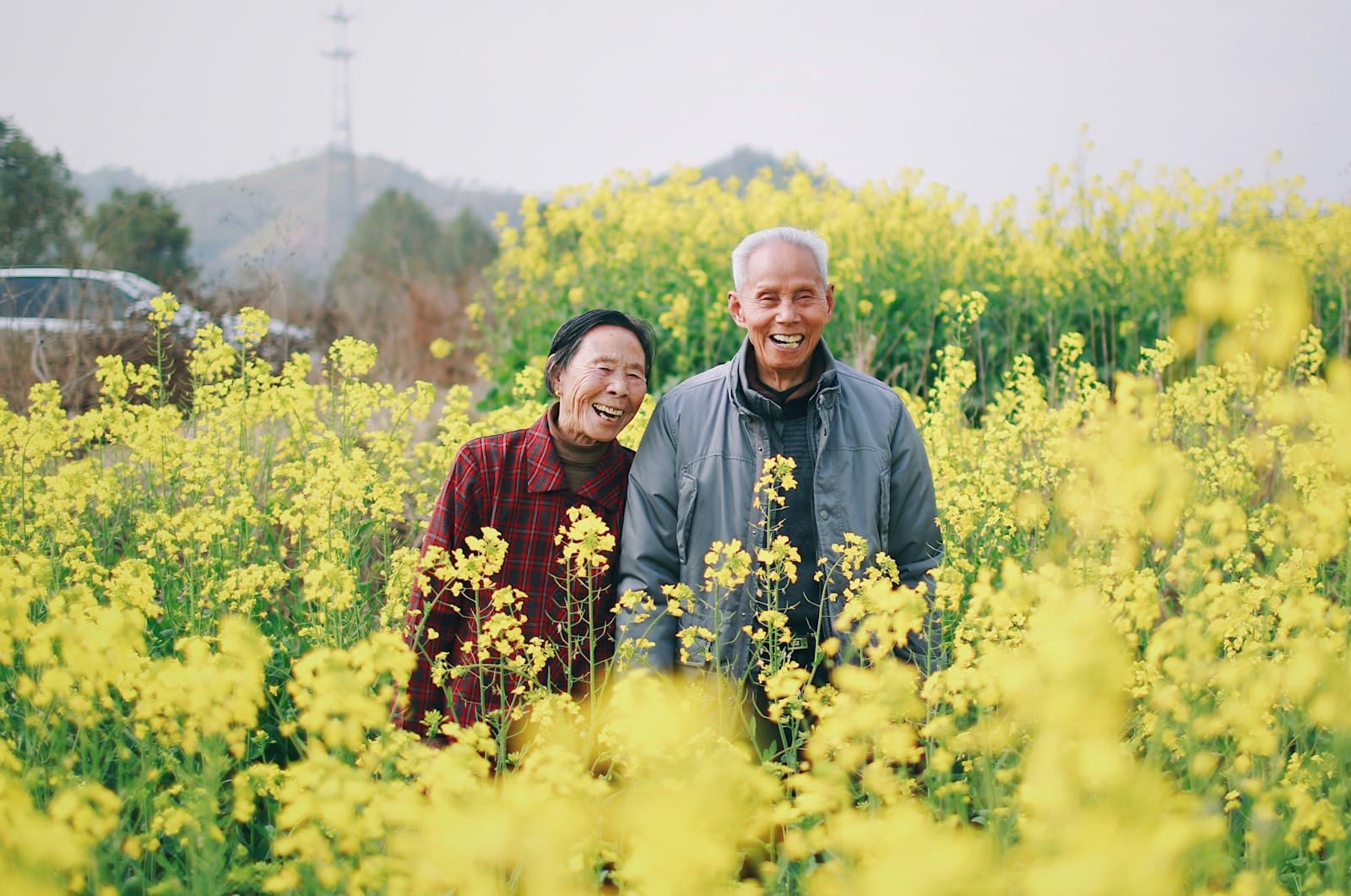 菜の花畑で笑い合う高齢のご夫婦